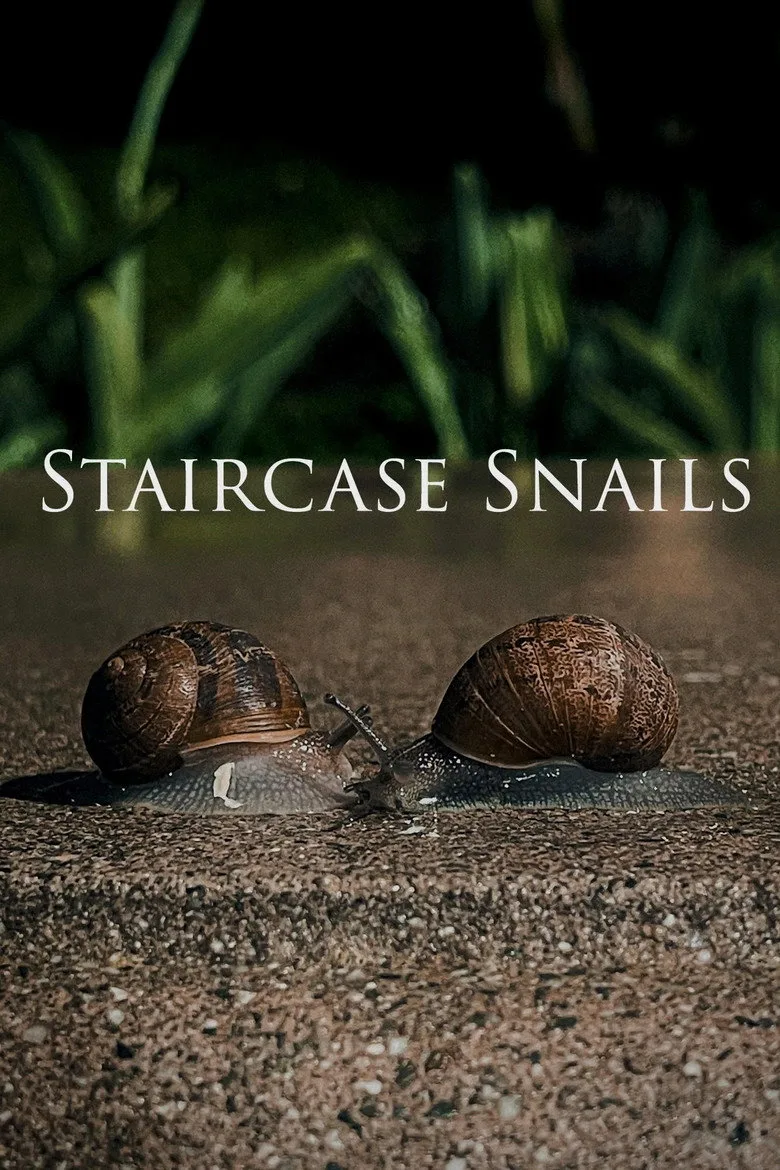 постер Staircase Snails