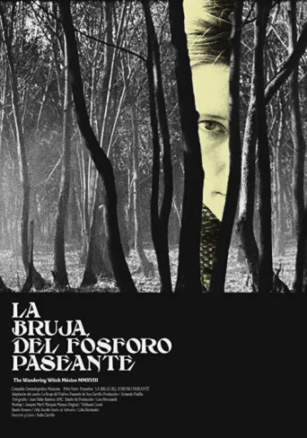 Постер La bruja del fósforo paseante
