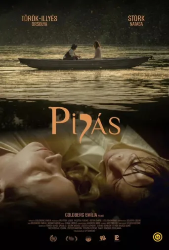 Постер Pipás
