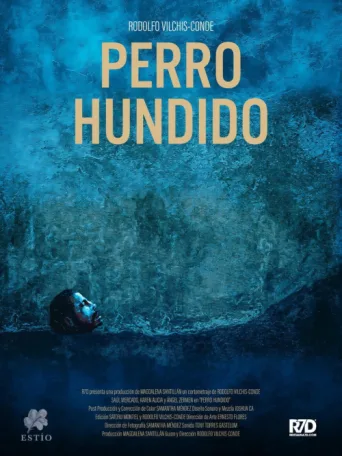 Poster for Perro Hundido