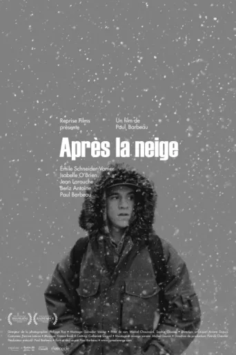 Après la neige afişi