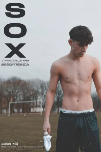 ملصق Sox