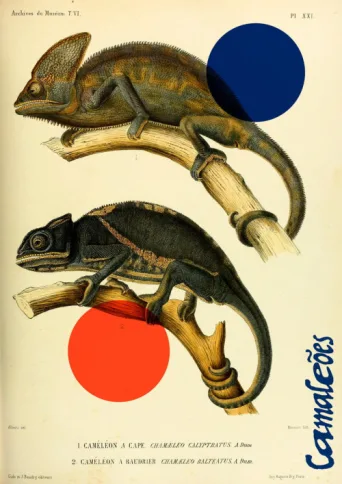 Poster for Camaleões