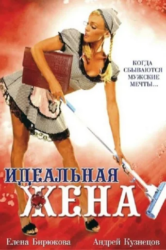 Постер The Perfect Wife