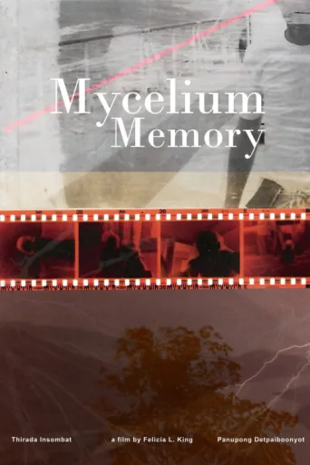 Постер Mycelium Memory