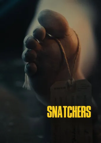 Постер Snatchers