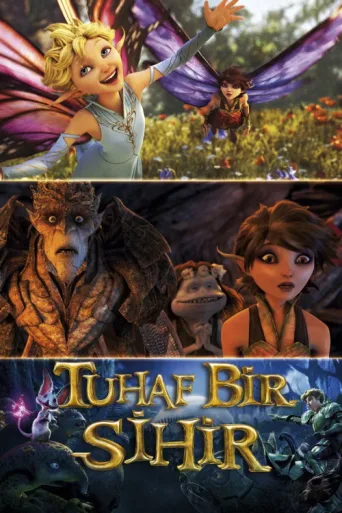 Постер Tuhaf Bir Sihir