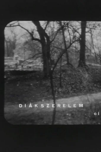 Постер Diákszerelem