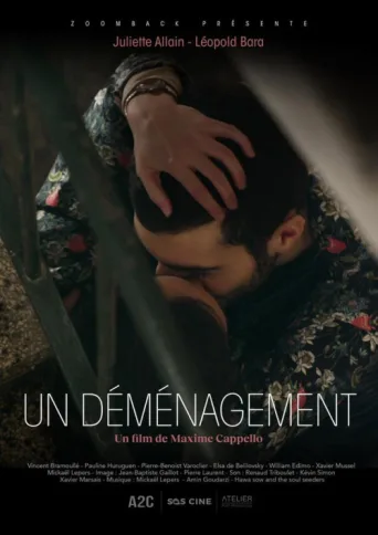 Un déménagement afişi