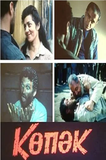 Poster for Köpək