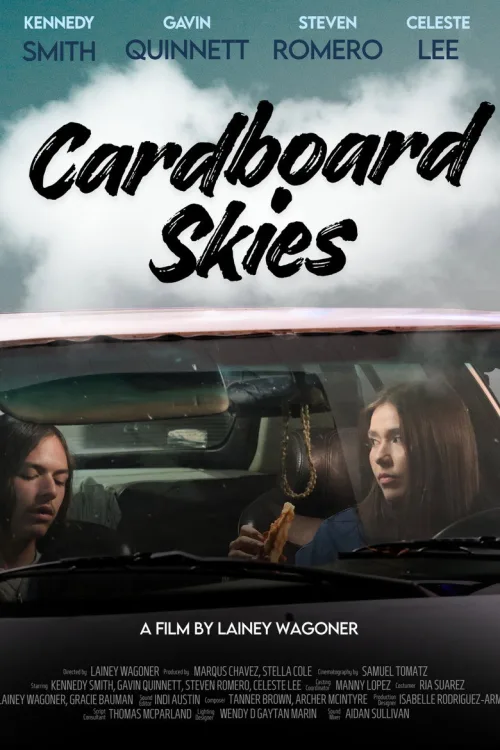 Cardboard Skies