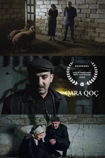 Qara Qoç afişi