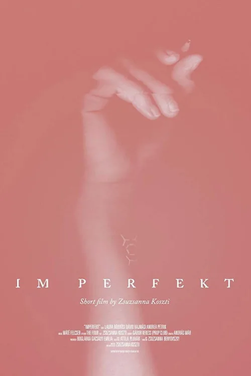 IM Perfekt