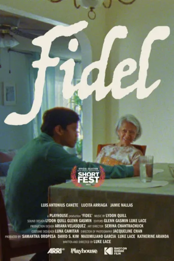 Póster de Fidel