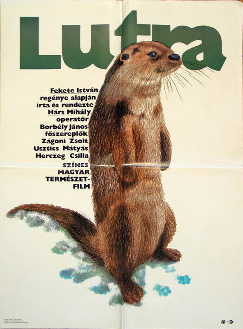Credit poster