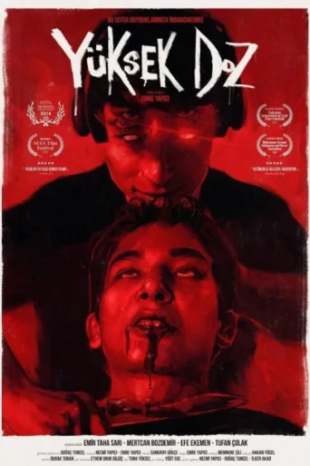 Poster for Yüksek Doz