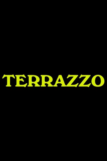 ملصق Terrazzo