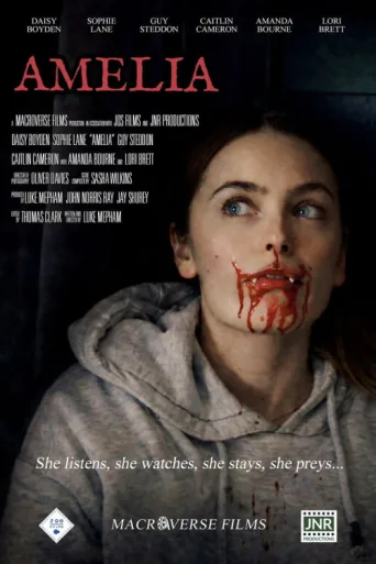 Poster for Amelia