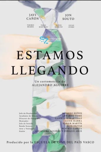 Estamos llegando afişi