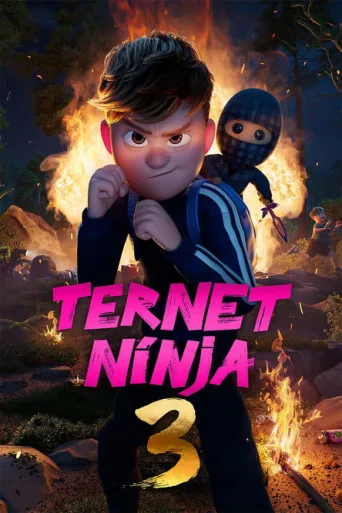 Póster de Ternet Ninja 3