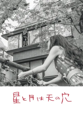 Poster for The Stars and the Moon are Holes in the Sky