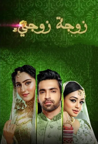 Poster for Aşk Sarmalı