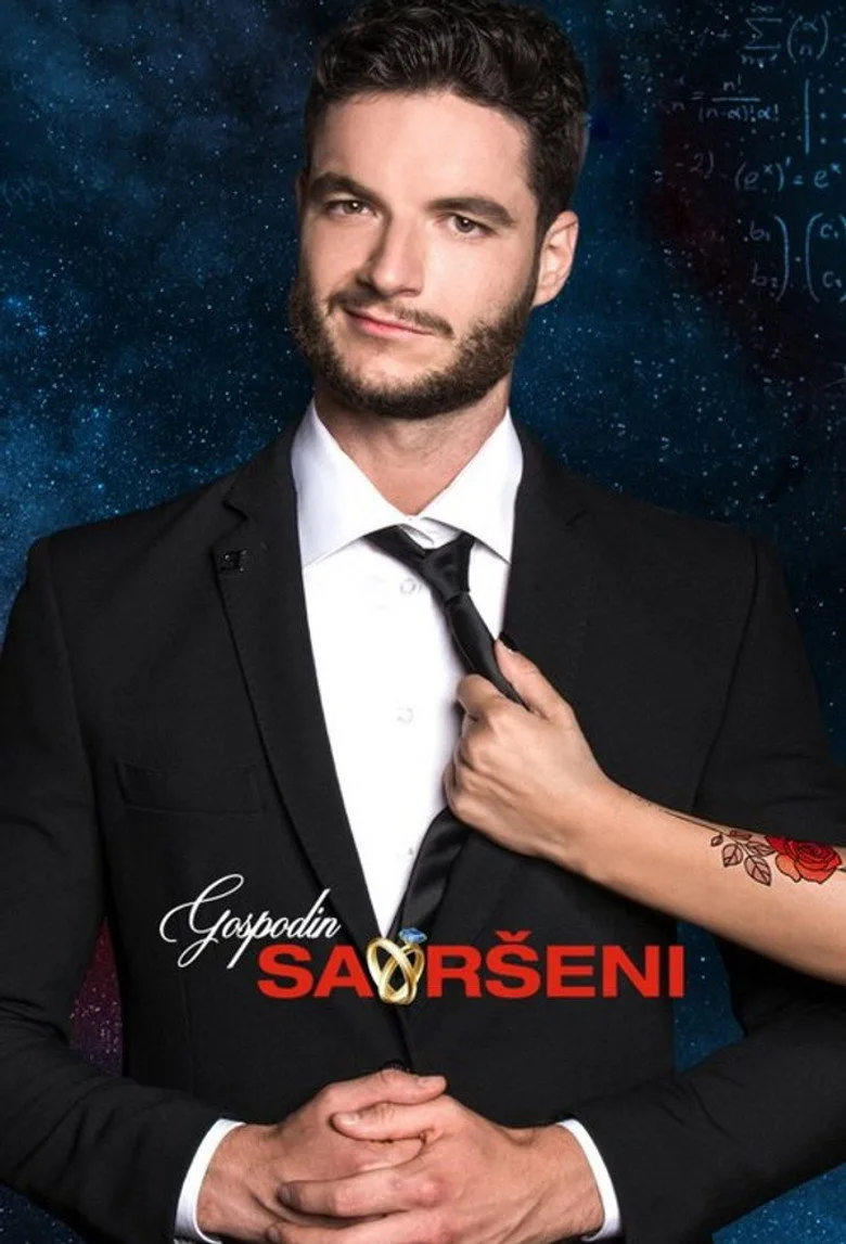 постер Gospodin Savršeni