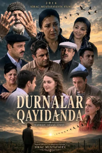 Постер Durnalar qayıdanda