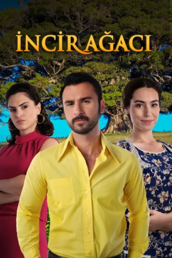 Постер İncir Ağacı