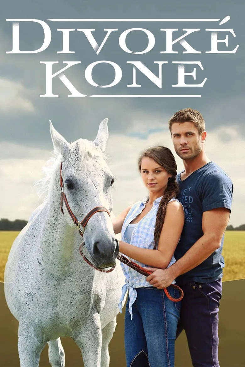 постер Divoké kone