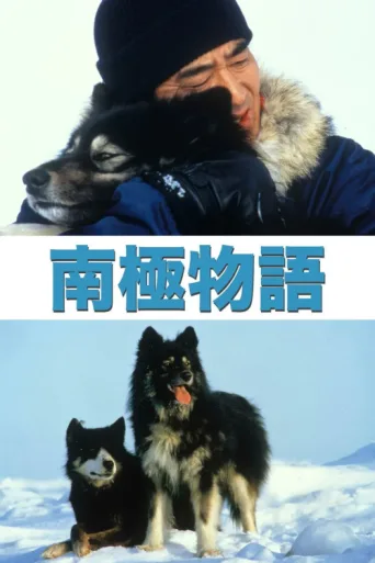 Постер Antarctica
