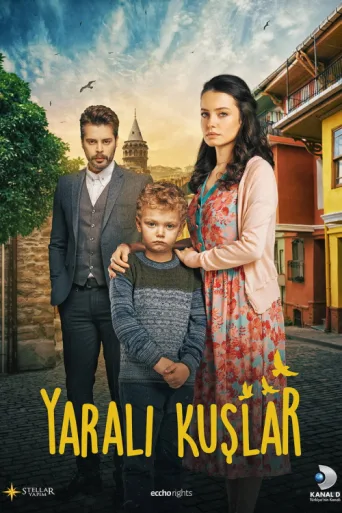 Постер Yaralı Kuşlar