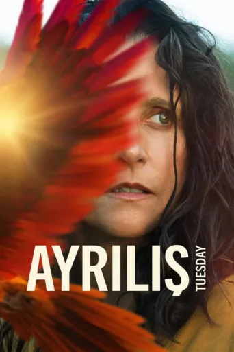 Póster de Ayrılış