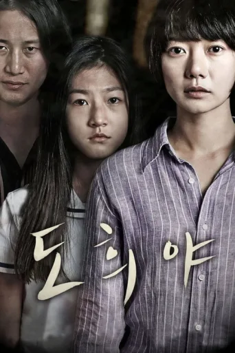 Póster de A Girl at My Door