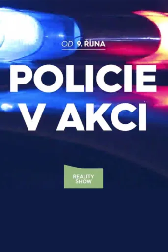 Постер Policie v akci