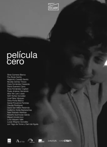 Póster de Película Cero
