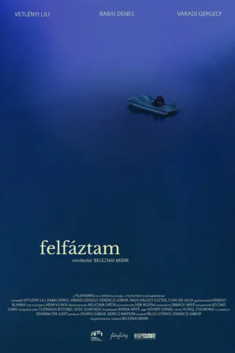 Felfáztam afişi