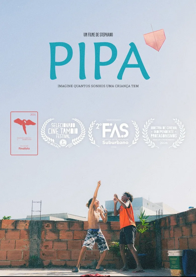 PIPA poster