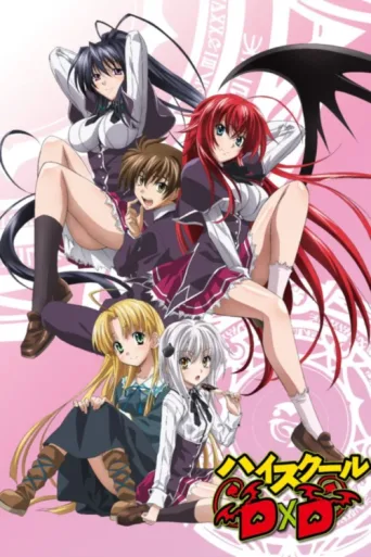 Poster for High School DxD
