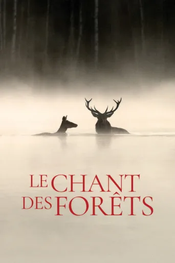 Постер Le Chant des forêts