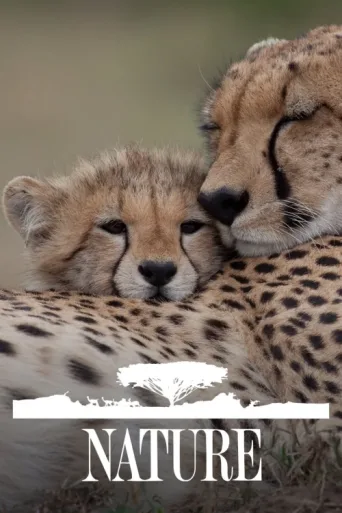 Постер Nature