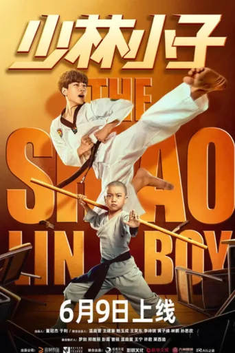 The Shaolin Boy afişi