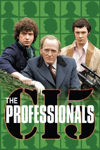 Póster de The Professionals