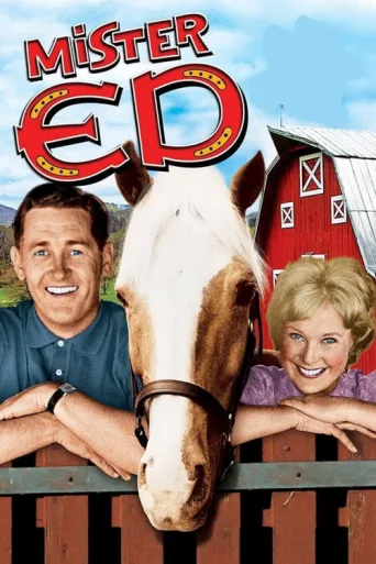 Постер Mister Ed