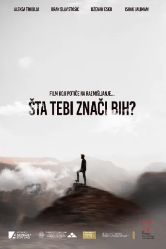 Poster for Šta tebi znači BiH?