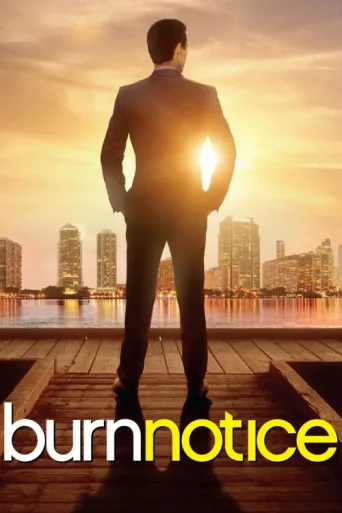 Póster de Burn Notice
