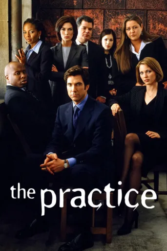 Póster de The Practice
