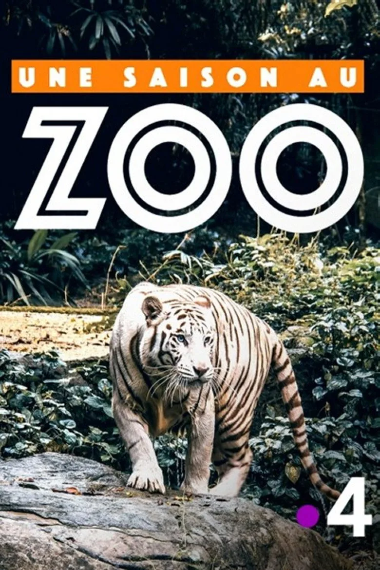 Une saison au zoo posteri
