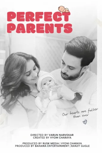Perfect Parents afişi