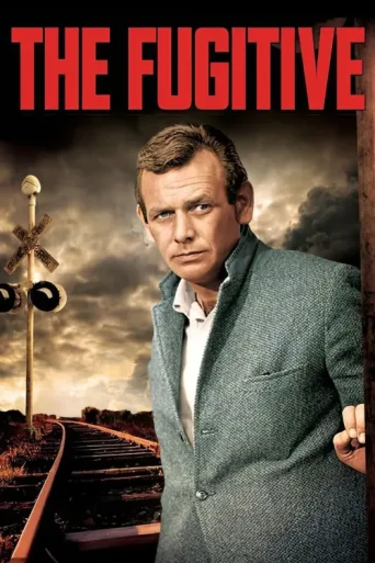 Póster de The Fugitive